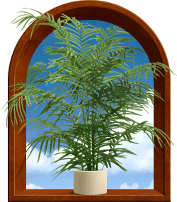Decorative arch with palm plant