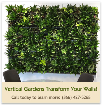 Vertical gardens transform your walls