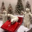 Polar bear sled scene