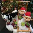 Elves, huskies, and a Christmas tree scenic decoration by Interior Tropical Gardens of northern Illinois