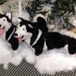 Winter holidays decorating with huskies pulling sled in snowy scene, by ITG