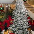 Closeup of Christmas tree display in festive winter holiday scene created by Interior Tropical Gardens